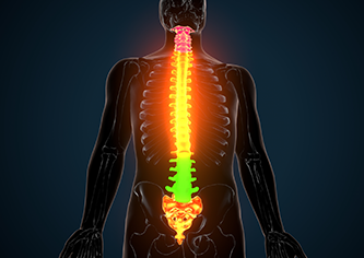 View detail for cardiology