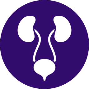 All Minor and Major Surgeries in Obstetrics and Gynaecology
